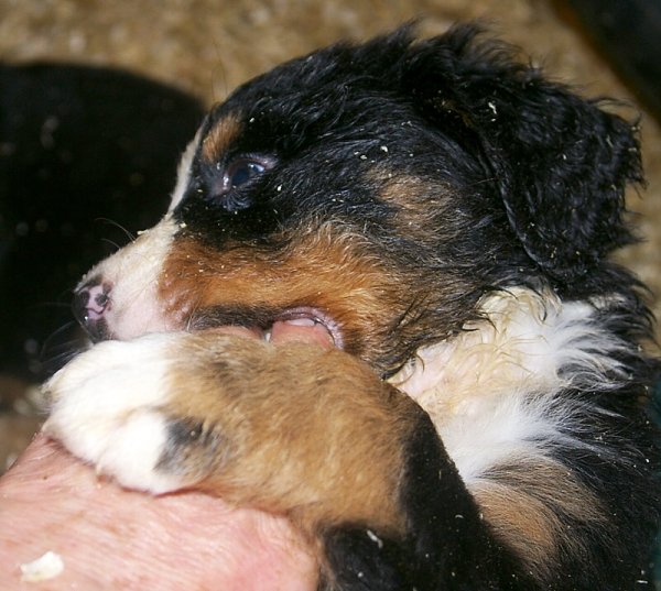 img00054.jpg