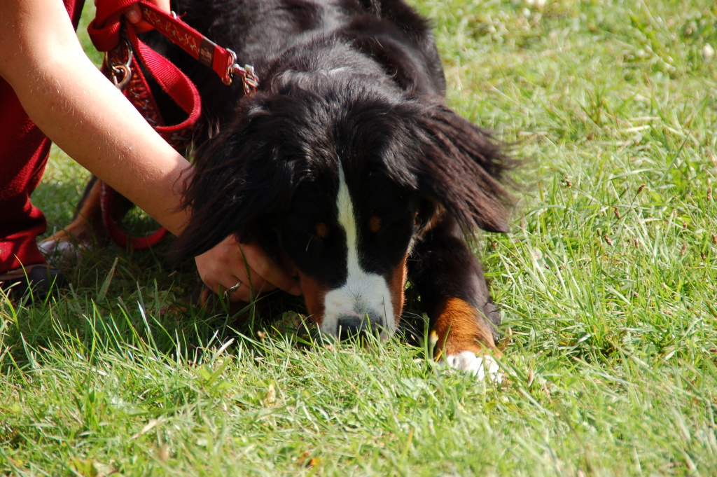 DSC_3189.jpg